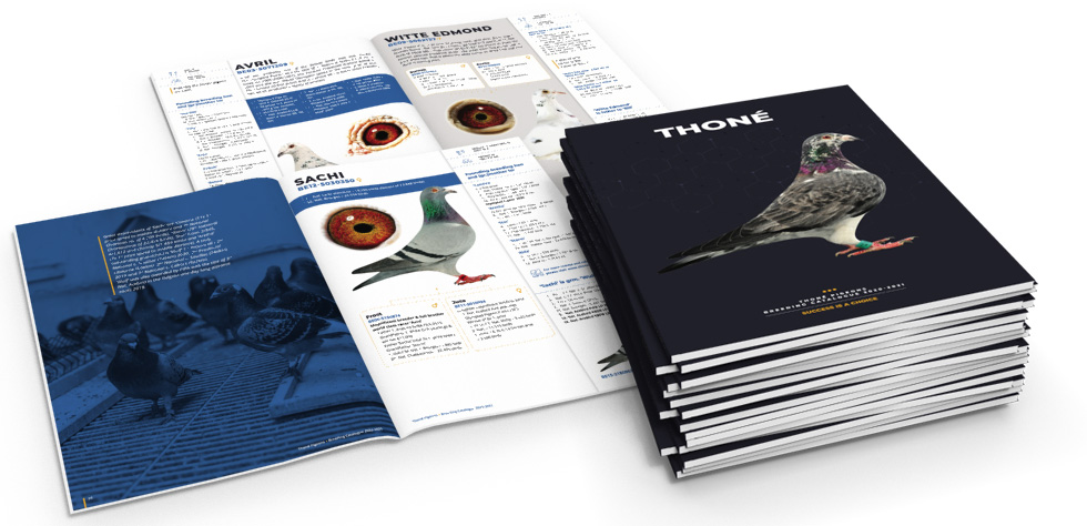 grafisch ontwerp brochure duiven